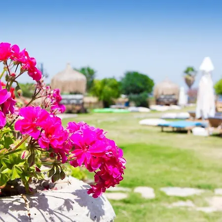 Smart Luxury & 4* Çeşme
