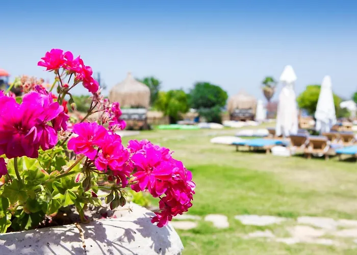 Smart Luxury & 3* Чешме