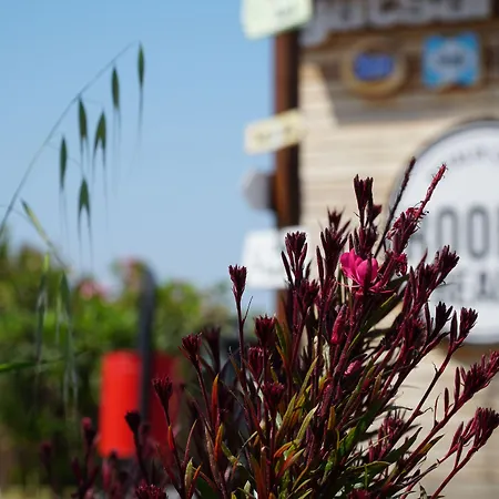 Hotel Smart Luxury & Cesme