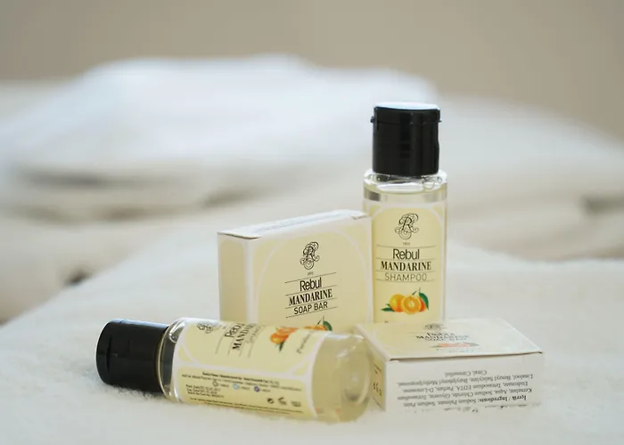 Smart Luxury & Hotel